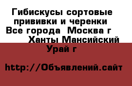 Гибискусы сортовые, прививки и черенки - Все города, Москва г.  »    . Ханты-Мансийский,Урай г.